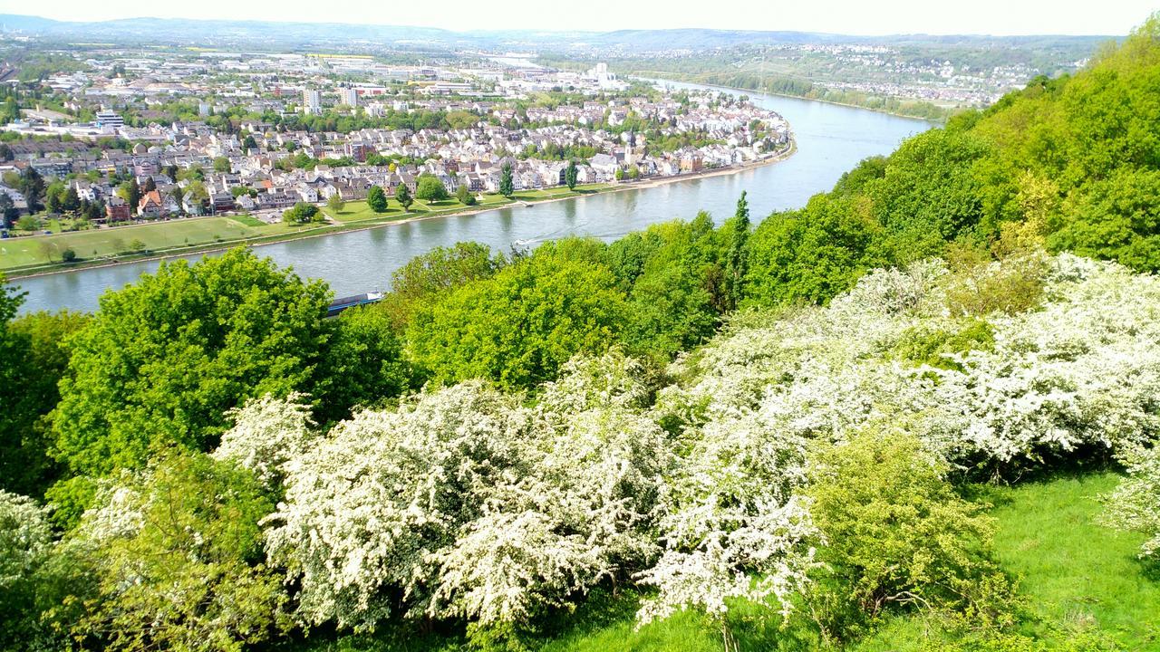 Hotel Ohm Patt Boppard Exteriör bild