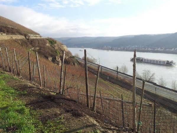 Hotel Ohm Patt Boppard Exteriör bild
